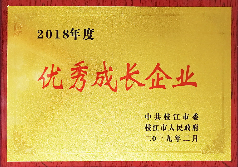 2018年度優(yōu)秀成長企業(yè)